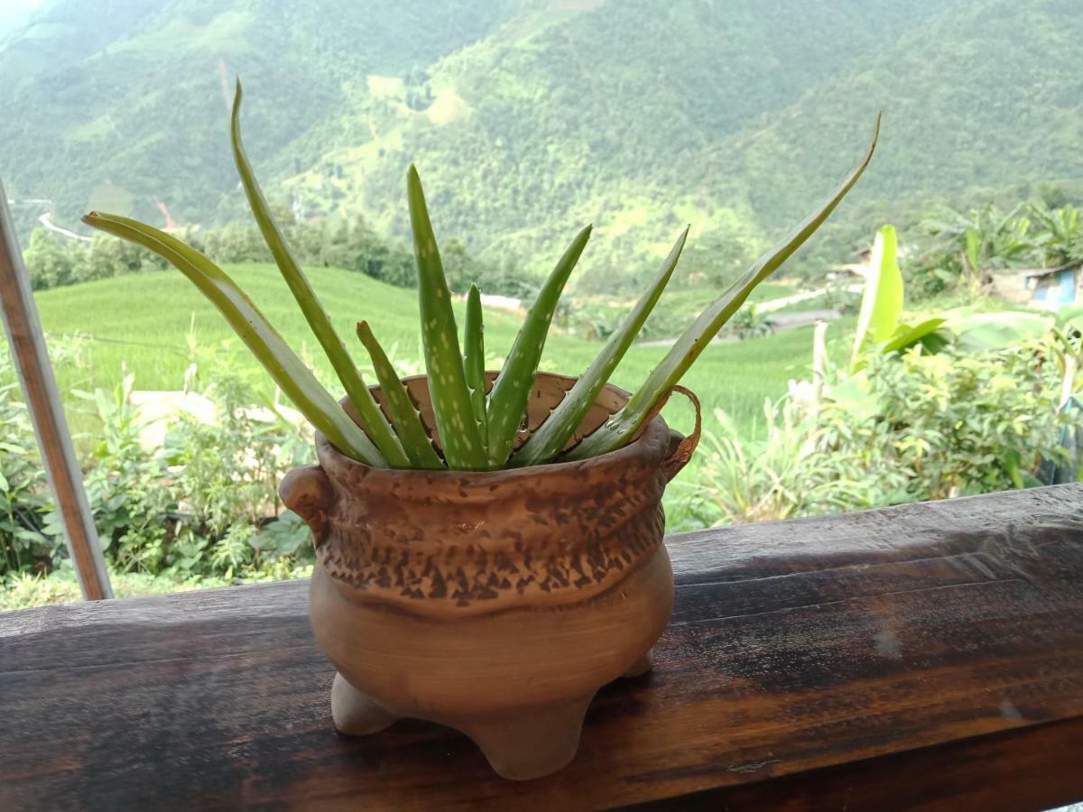 My'S Homestay Sapa Exterior photo